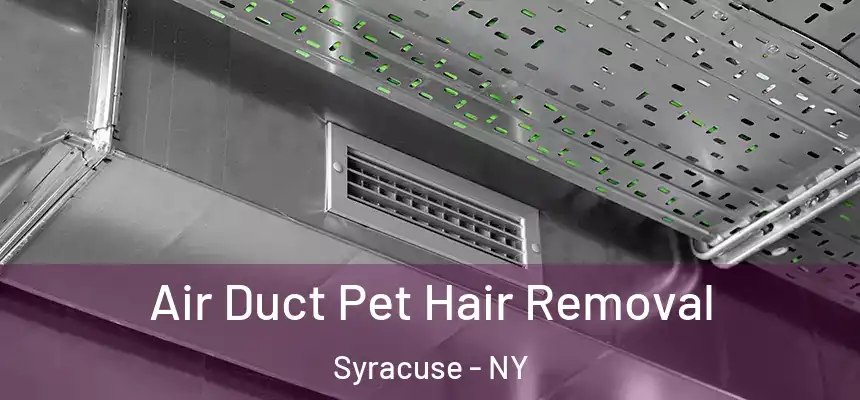 Air Duct Pet Hair Removal Syracuse - NY