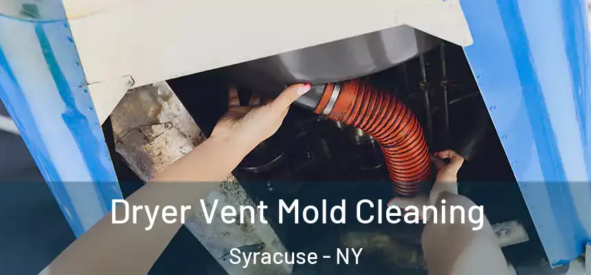  Dryer Vent Mold Cleaning Syracuse - NY