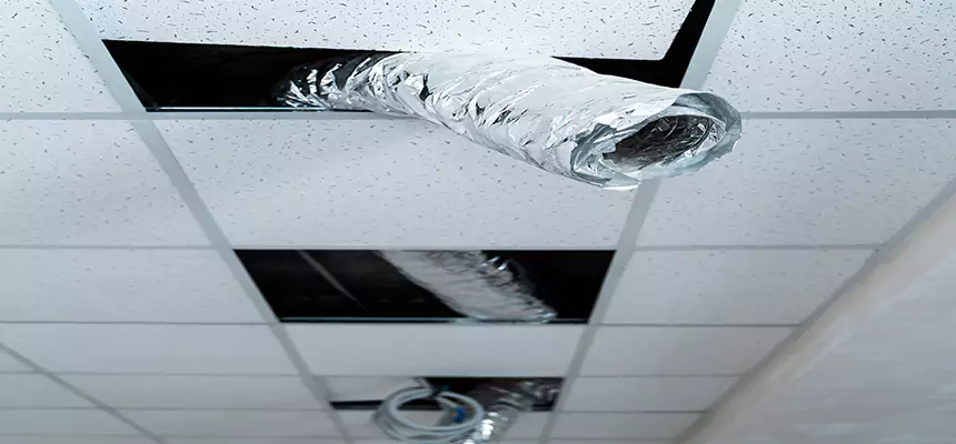 Affordable HVAC Sanitizing After Pest Removal in Syracuse