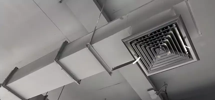 Our Rodent Droppings In Vents Services in Syracuse, NY