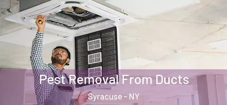 Pest Removal From Ducts Syracuse - NY