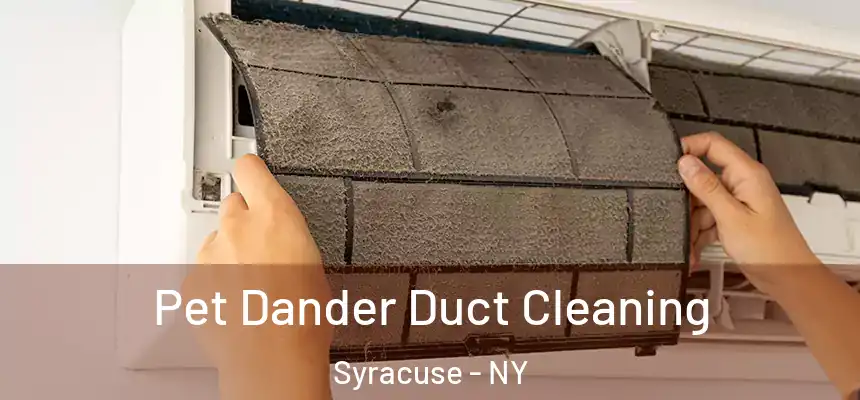  Pet Dander Duct Cleaning Syracuse - NY