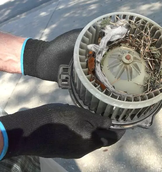 About Air Duct Mice Removal in Syracuse, NY