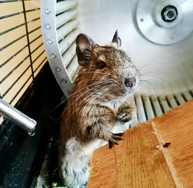 Why Homeowners & Businesses Trust Us Syracuse, NY